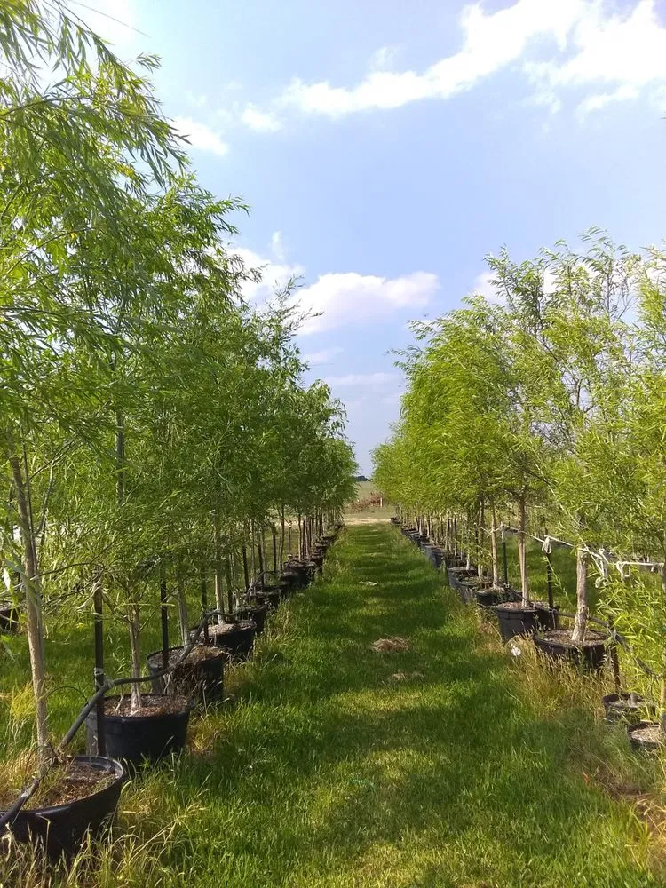 Professional landscaping services experts serving Howardwick, TX - CV & Sons Landscaping