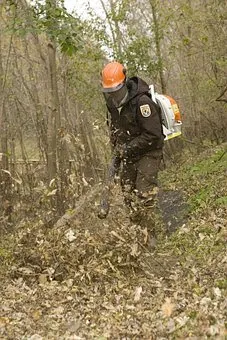 Top-rated landscaping services with custom design across Conewango Valley, NY - CV Builds