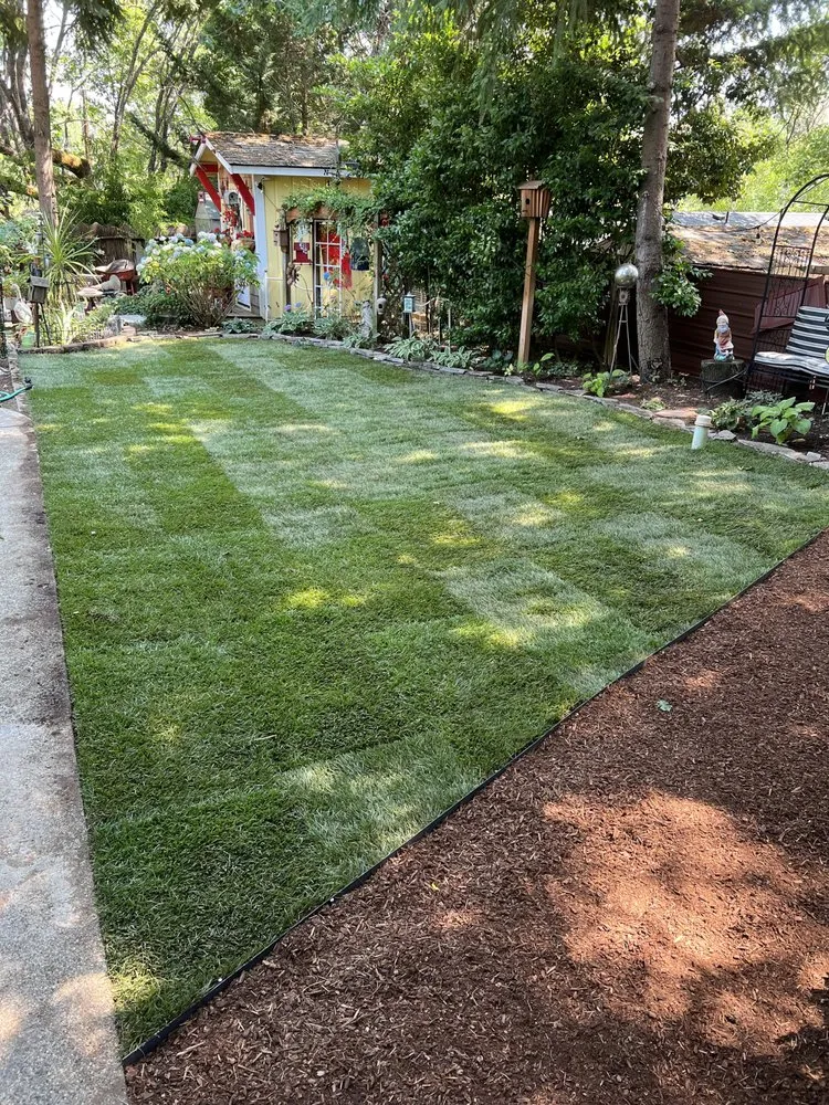 Top-rated yard cleanup service in Medford, OR - CV Landscape & Maintenance
