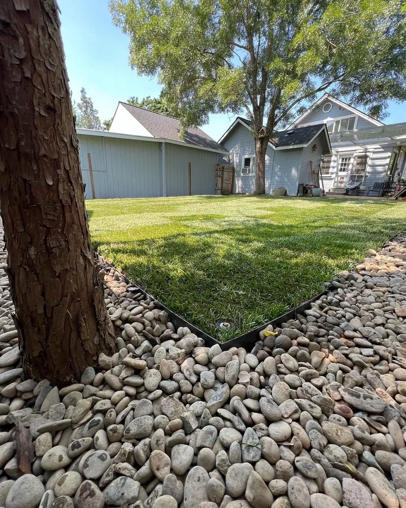 Trusted lawn care service experts serving Medford, OR - CV Landscape & Maintenance