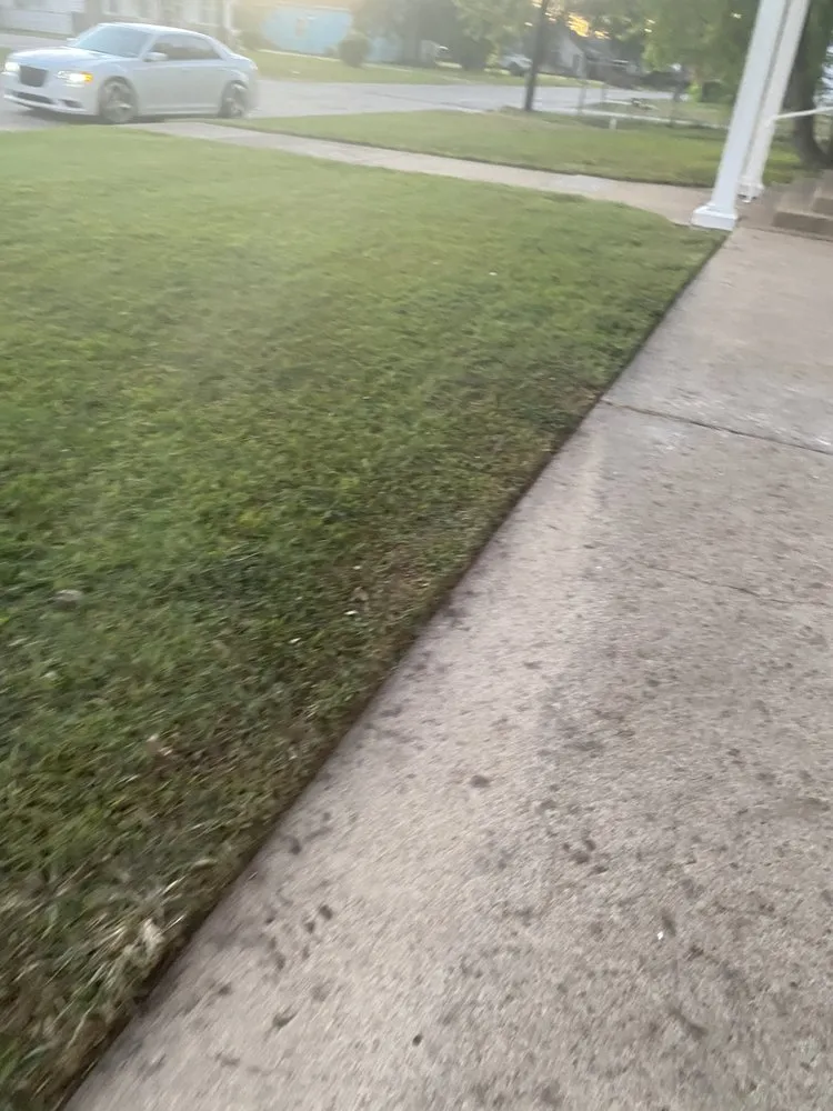 Trusted yard maintenance near you in Rosenberg, TX by CV Landscaping & General Service