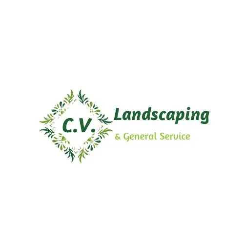 Expert yard cleanup service for year-round maintenance in Rosenberg, TX by CV Landscaping & General Service