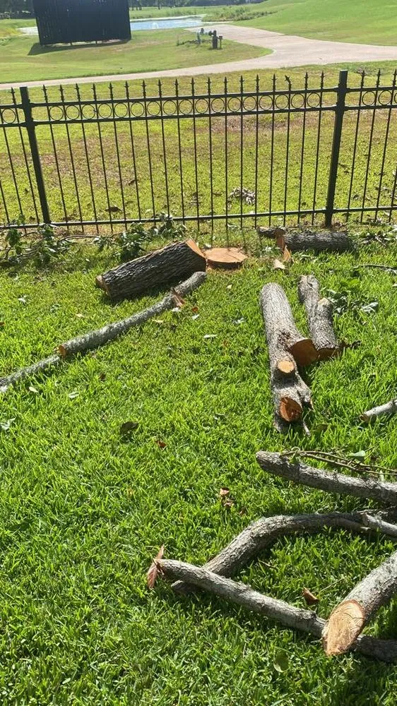 Affordable landscape design experts serving Rosenberg, TX - CV Landscaping & General Service