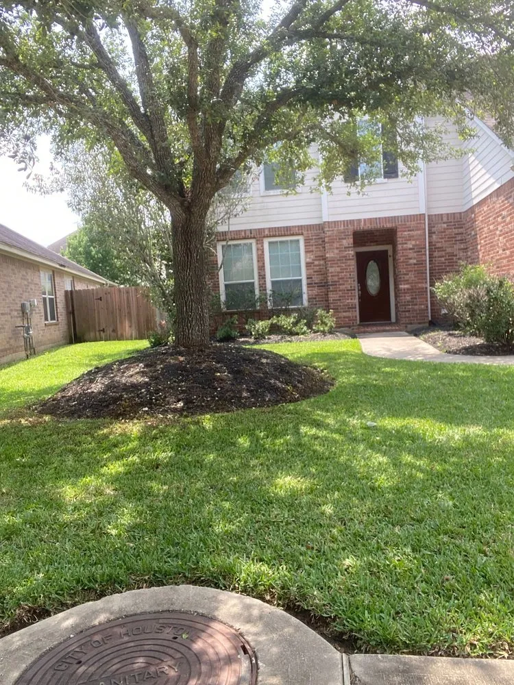 Reliable landscape design experts serving Rosenberg, TX - CV Landscaping & General Service