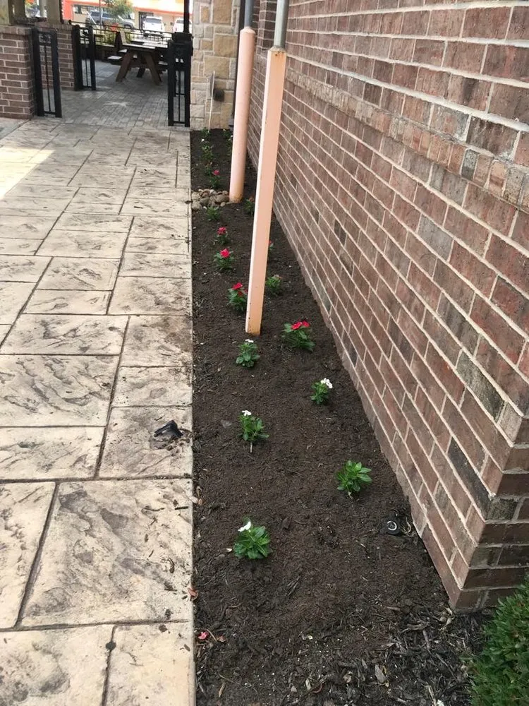 Expert lawn care service for residential properties in Rosenberg, TX by CV Landscaping & General Service