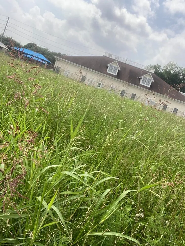 Expert outdoor landscaping with custom design across Rosenberg, TX - CV Landscaping & General Service