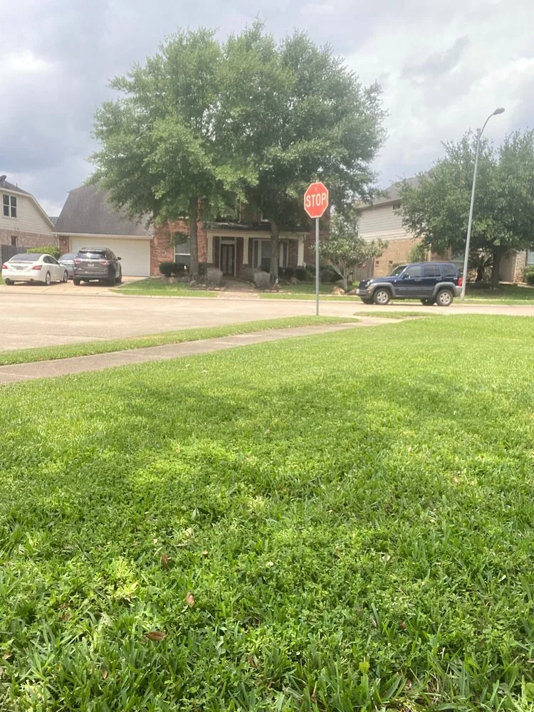 Affordable yard maintenance for residential properties across Rosenberg, TX - CV Landscaping & General Service