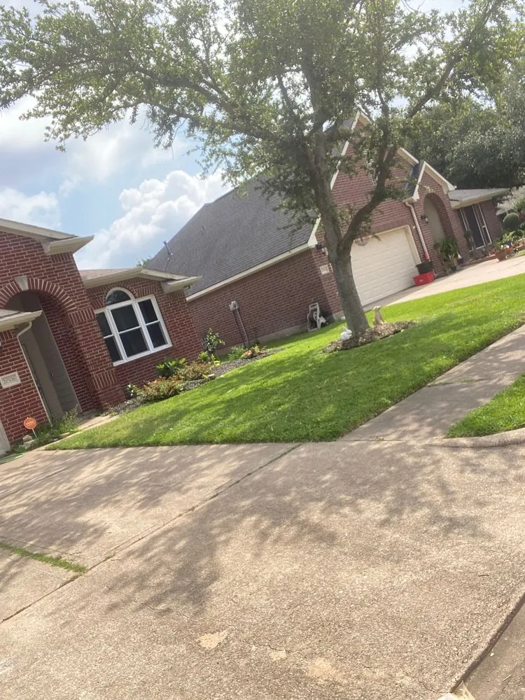 Expert landscaping services in Rosenberg, TX - CV Landscaping & General Service