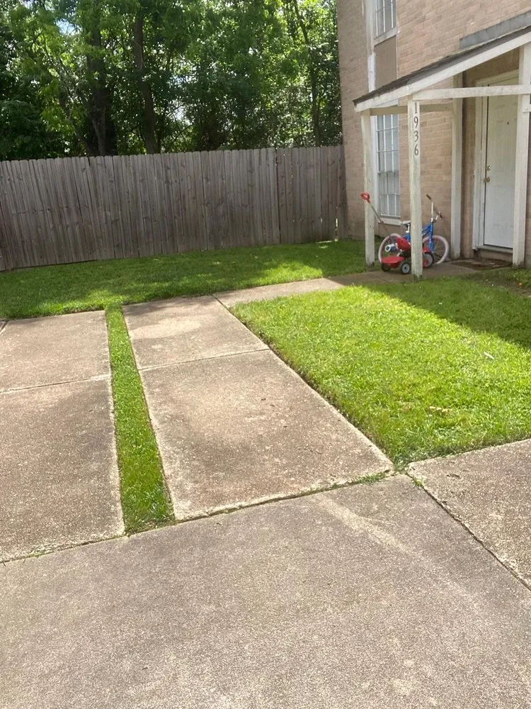 Affordable outdoor landscaping in Rosenberg, TX by CV Landscaping & General Service