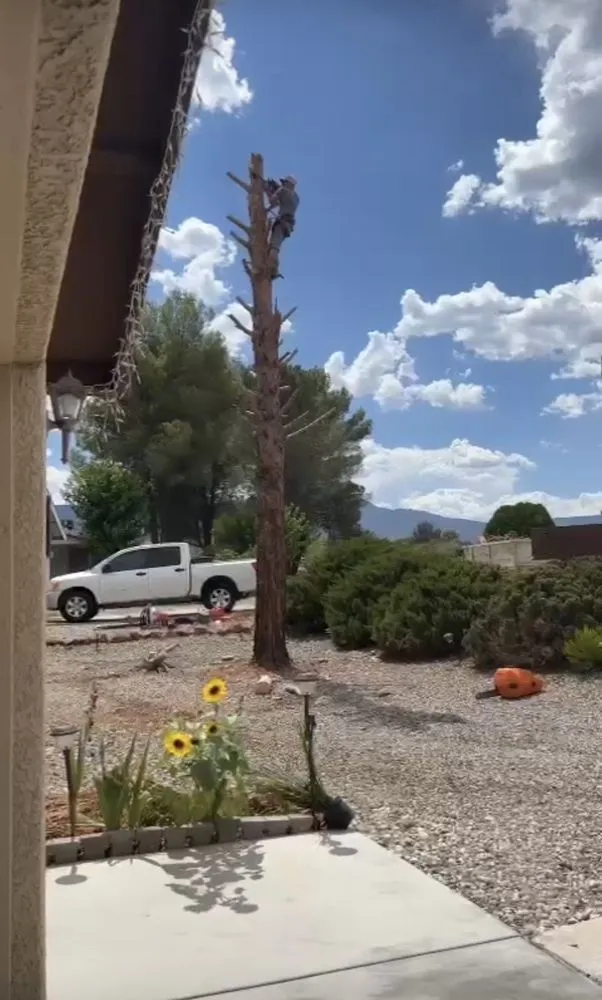Affordable landscaping services near you in Rimrock, AZ by CV Landscaping and Masonry