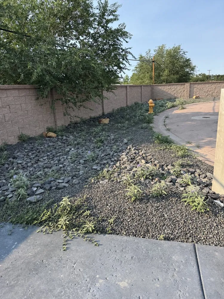 Affordable residential landscaping in Bernalillo, NM by C&V Landscaping