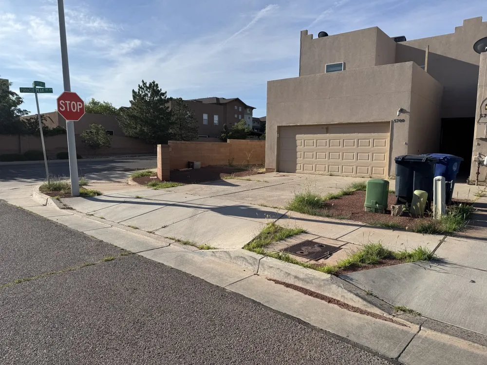 Expert yard cleanup service in Bernalillo, NM by C&V Landscaping