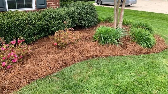 Top-rated yard maintenance in Lincolnton, NC - CV Lawn Care