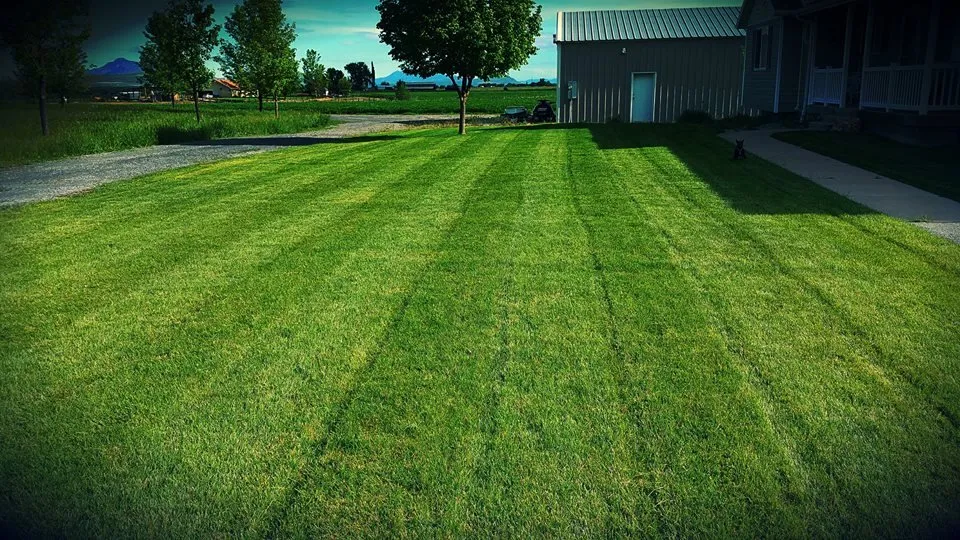 Trusted landscape design experts serving Logan, UT - CV Lawn King