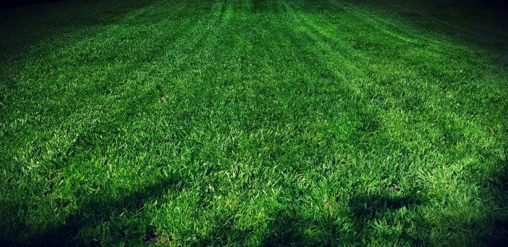 Custom landscape installation for homes across Logan, UT - CV Lawn King