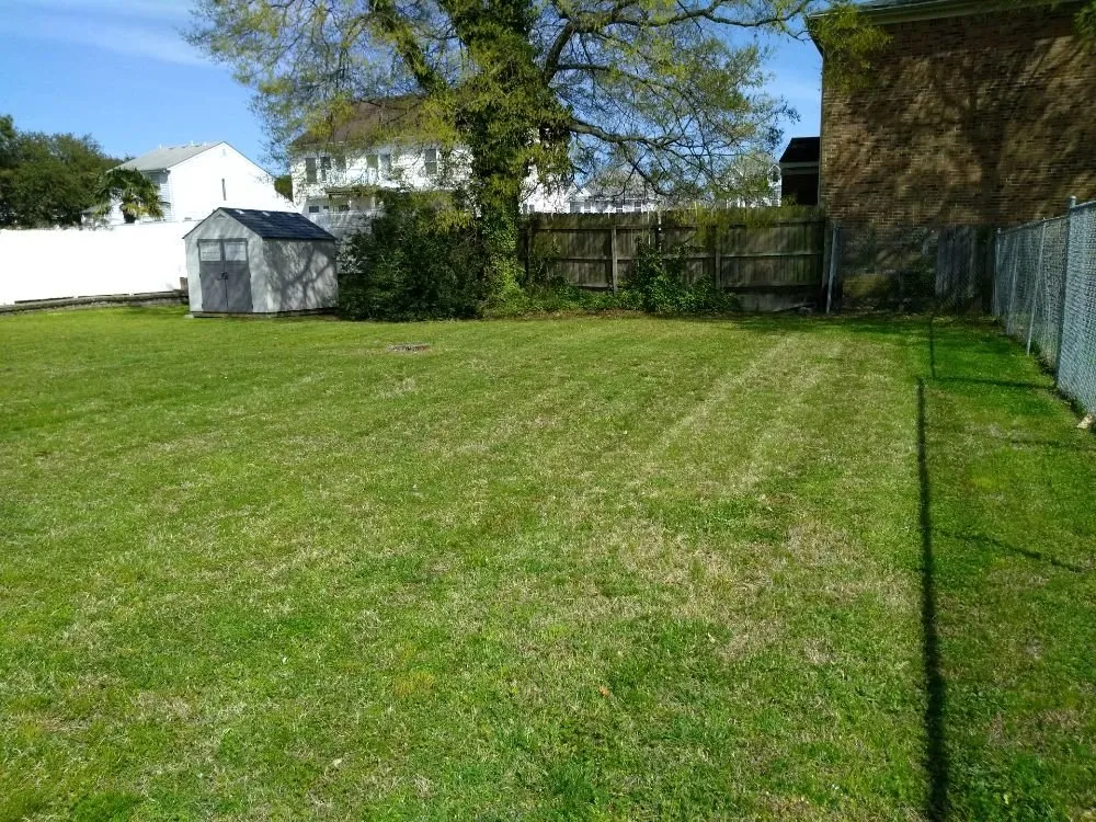 Reliable landscaping services near you in Sanford, FL by Cv Lawn Maintenance