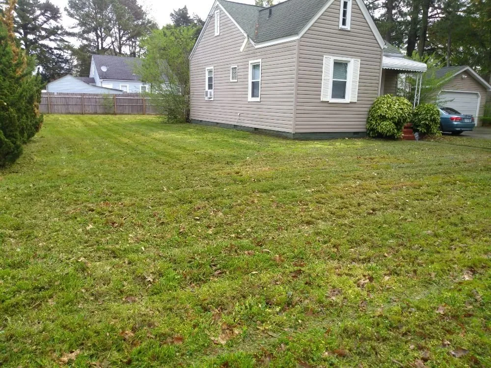 Expert yard cleanup service for year-round maintenance in Sanford, FL by Cv Lawn Maintenance