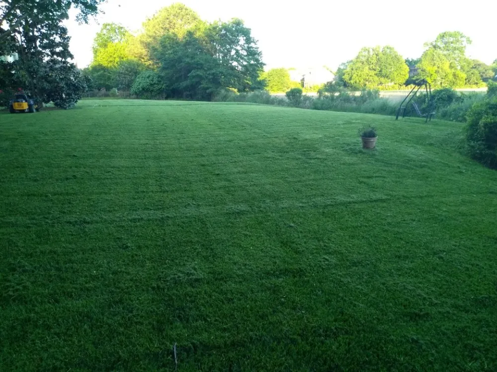 Expert landscaping services in Sanford, FL by Cv Lawn Maintenance