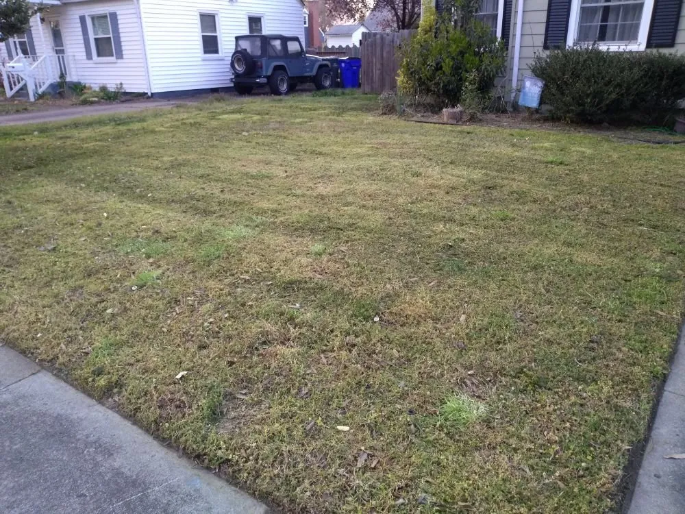 Local lawn care service in Sanford, FL - Cv Lawn Maintenance