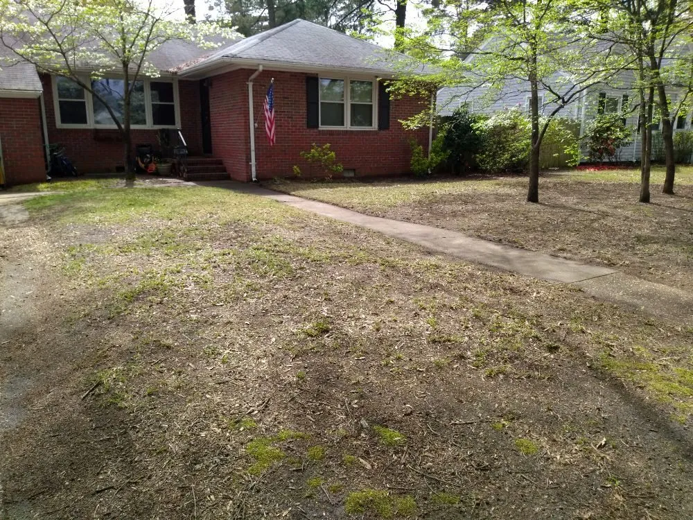 Affordable garden landscaping in Sanford, FL - Cv Lawn Maintenance