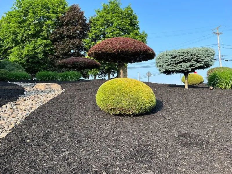 Affordable yard maintenance for beautiful yards across Glenwillard, PA - CVAC Lawn Care