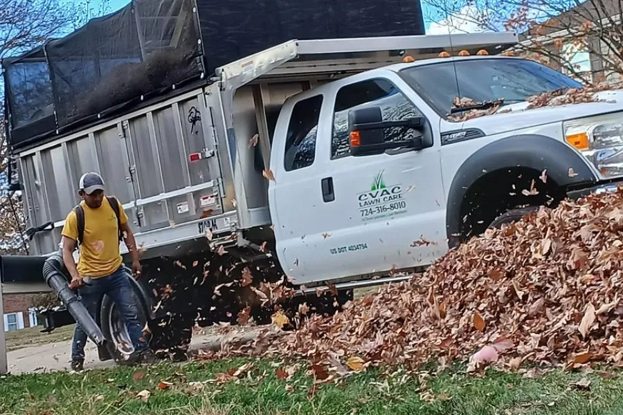 Local yard cleanup service experts serving Glenwillard, PA - CVAC Lawn Care