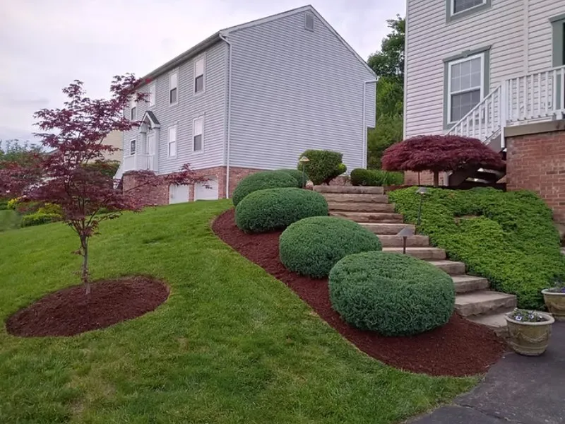 Reliable yard cleanup service experts serving Glenwillard, PA - CVAC Lawn Care