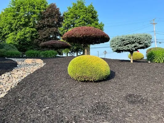 CVAC Lawn Care