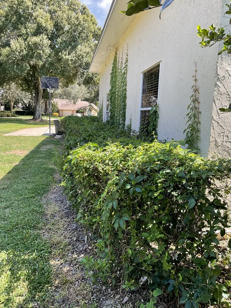 Reliable garden landscaping in Apopka, FL by C.Vargas Lawn Maintenance