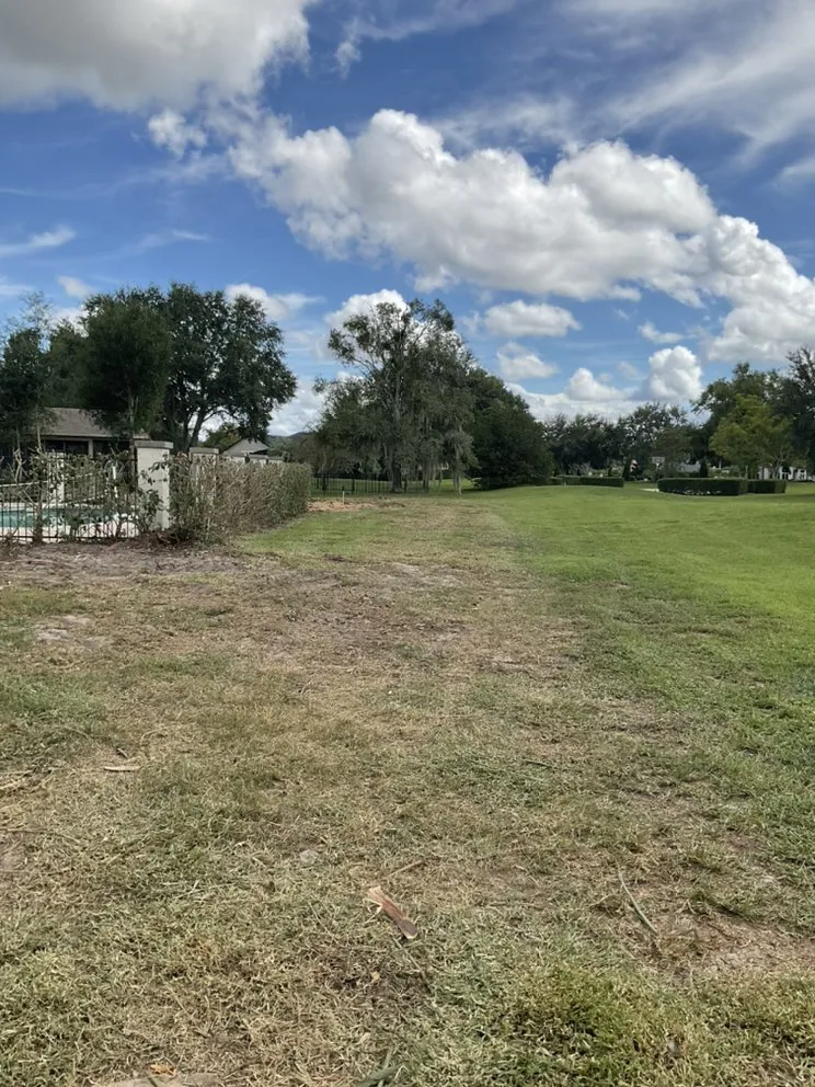 Professional lawn care service near you in Apopka, FL by C.Vargas Lawn Maintenance