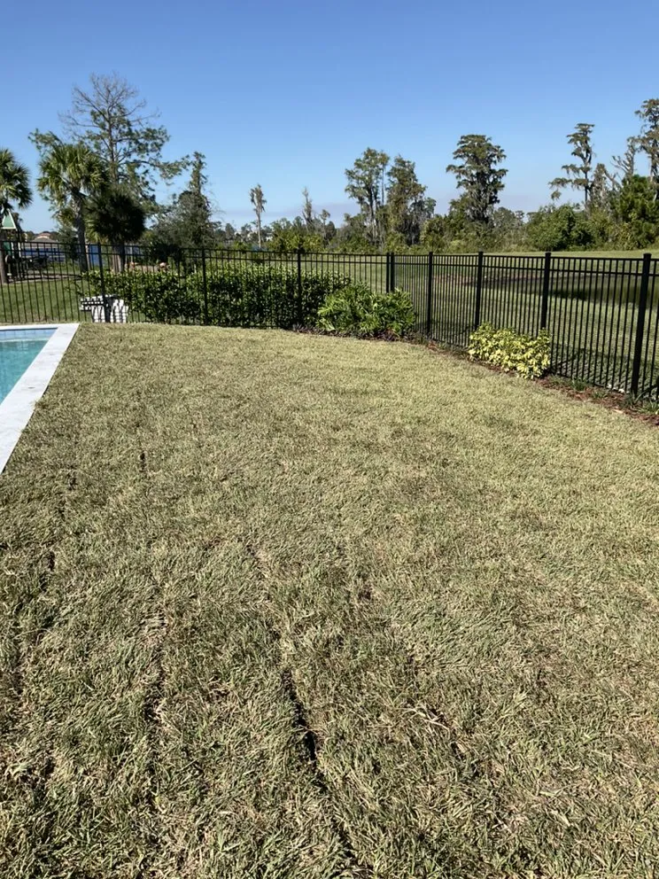 Custom landscape design for residential properties across Apopka, FL - C.Vargas Lawn Maintenance