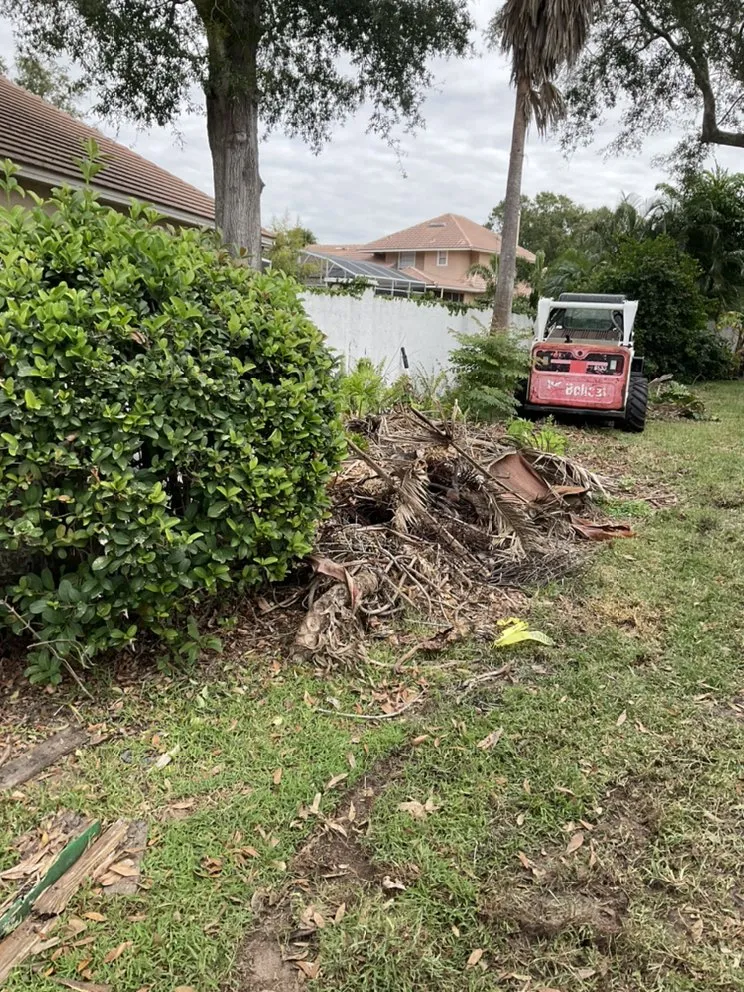 Affordable landscape design in Apopka, FL by C.Vargas Lawn Maintenance