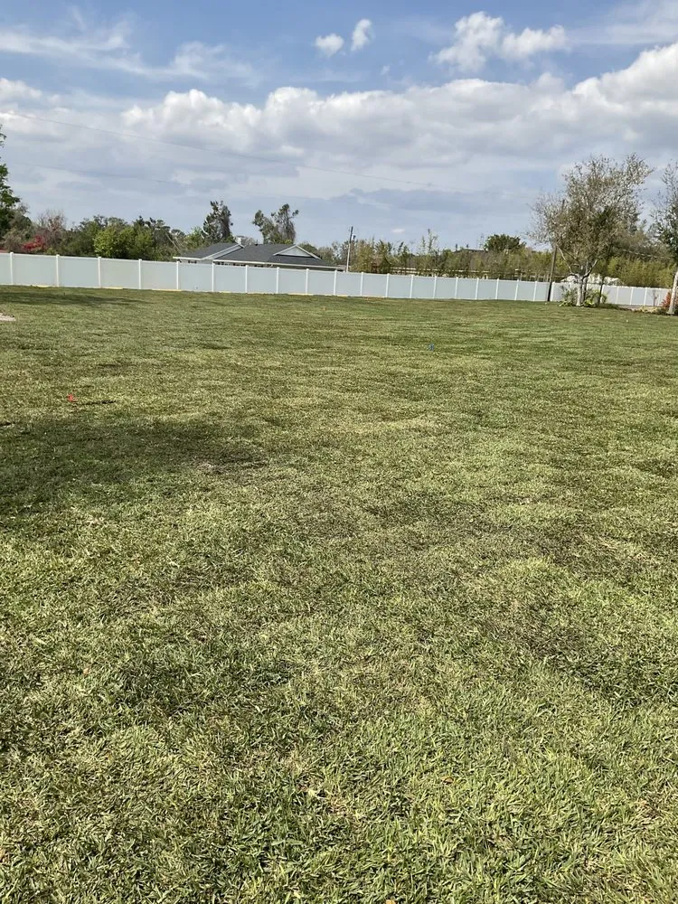 Local landscape design experts serving Apopka, FL - C.Vargas Lawn Maintenance