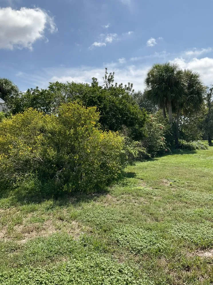 Affordable residential landscaping experts serving Apopka, FL - C.Vargas Lawn Maintenance