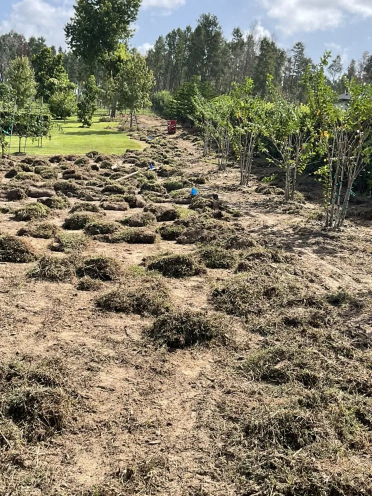 Local lawn mowing service for homes across Apopka, FL - C.Vargas Lawn Maintenance