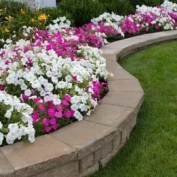 Professional lawn care service experts serving Pomfret Center, CT - CVG Services