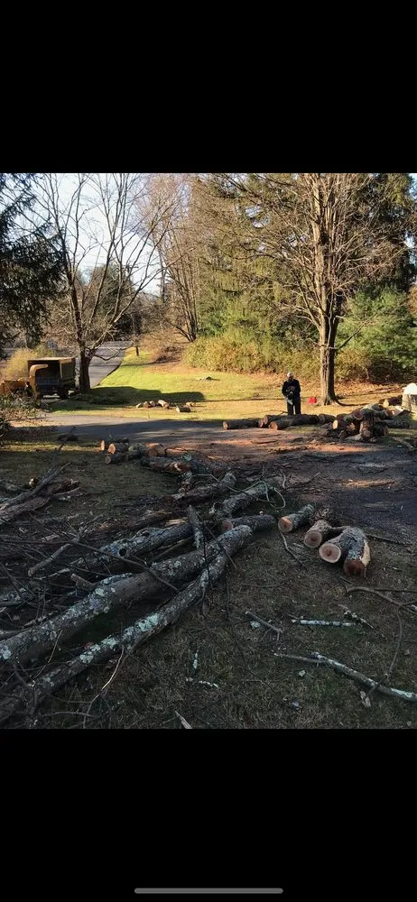 Top-rated landscaping services for beautiful yards across Patterson, NY - C.V.R Landscaping & Tree Service