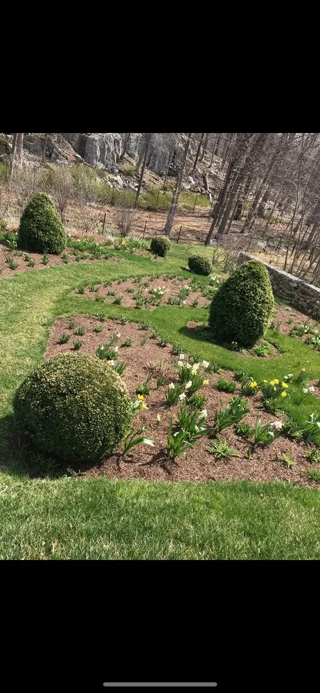 Expert yard cleanup service in Patterson, NY by C.V.R Landscaping & Tree Service