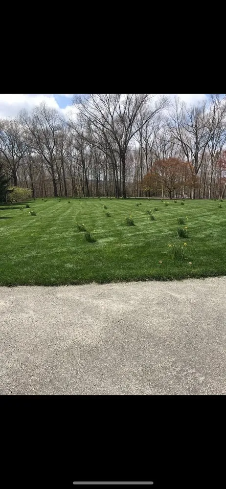 Affordable lawn mowing service experts serving Patterson, NY - C.V.R Landscaping & Tree Service