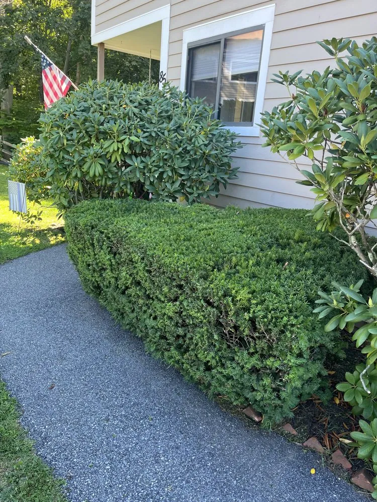 Top-rated lawn mowing service in Patterson, NY by C.V.R Landscaping & Tree Service