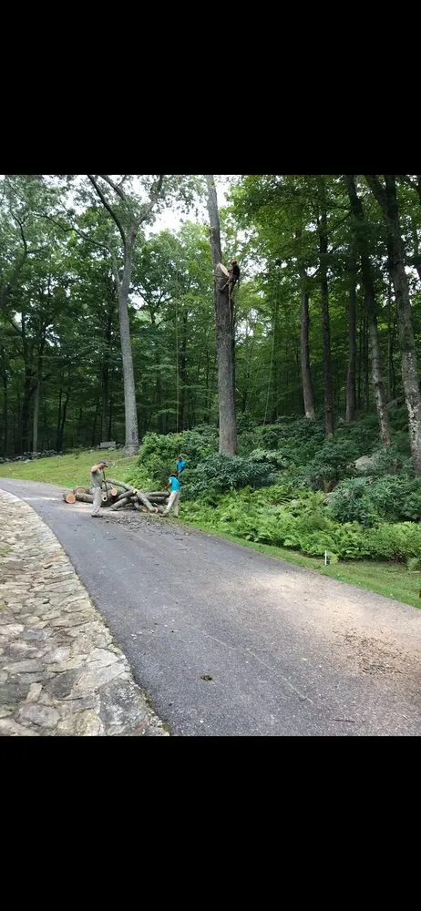 Affordable garden landscaping experts serving Patterson, NY - C.V.R Landscaping & Tree Service