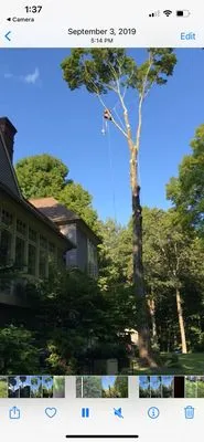 C.V.R Landscaping & Tree Service