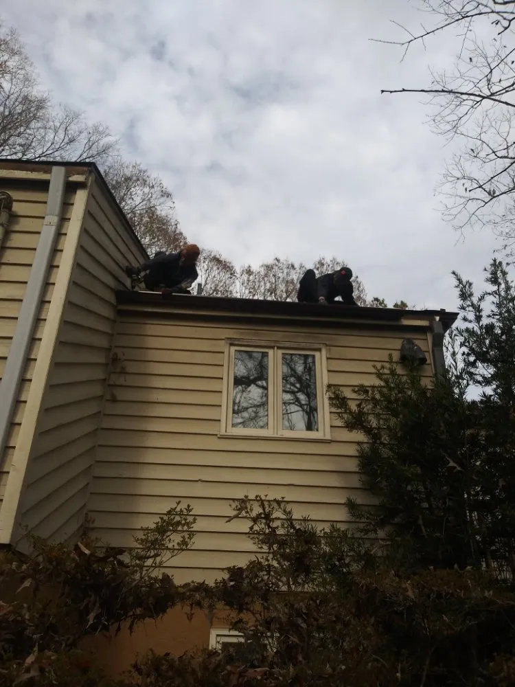 Affordable lawn care service for year-round maintenance in West Point, GA by CW Contracters