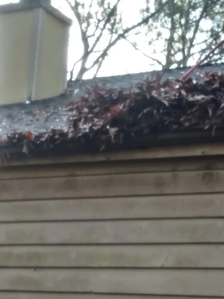 Reliable yard cleanup service for year-round maintenance across West Point, GA - CW Contracters