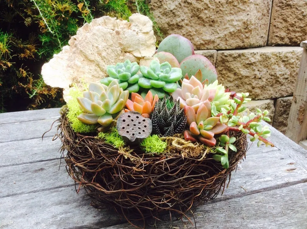 Reliable residential landscaping for beautiful yards in Vista, CA by CW Design & Landscape