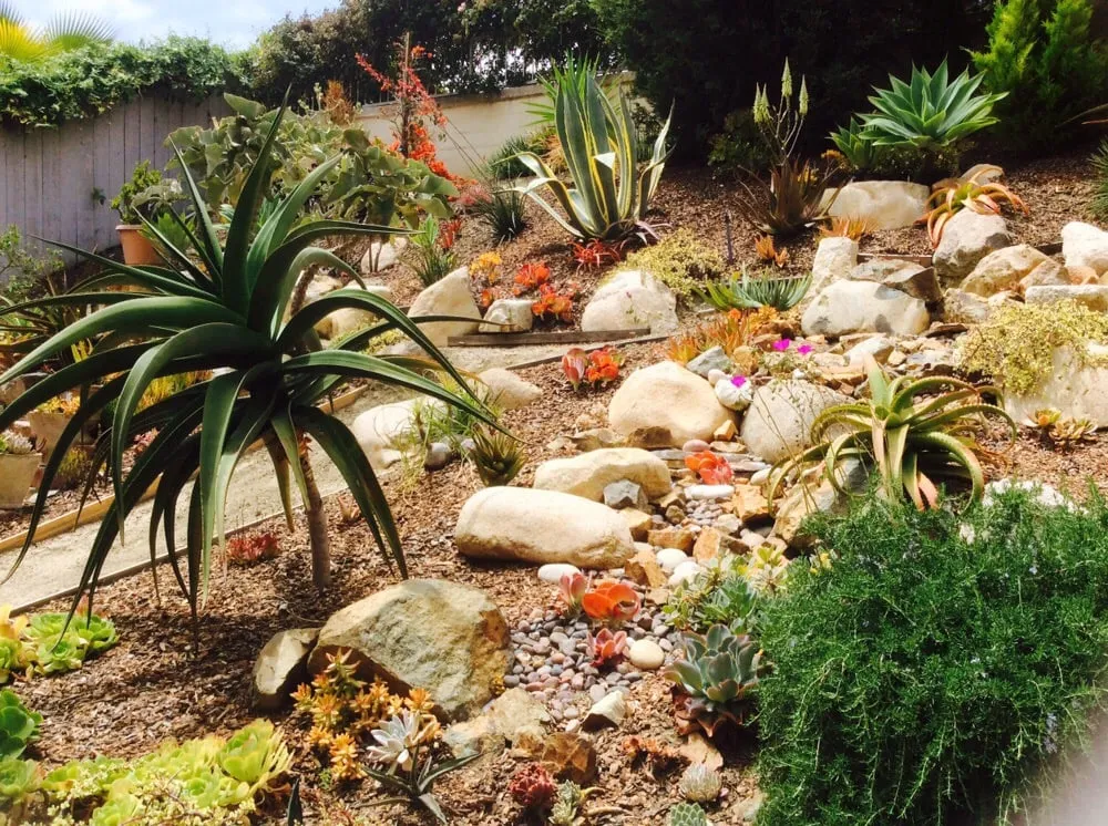 Professional lawn mowing service experts serving Vista, CA - CW Design & Landscape