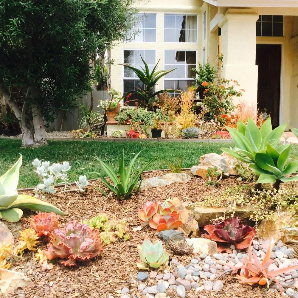 Trusted lawn care service for homes across Vista, CA - CW Design & Landscape