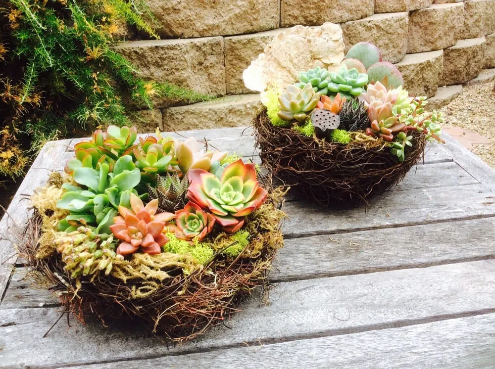 Professional outdoor landscaping for residential properties in Vista, CA by CW Design & Landscape