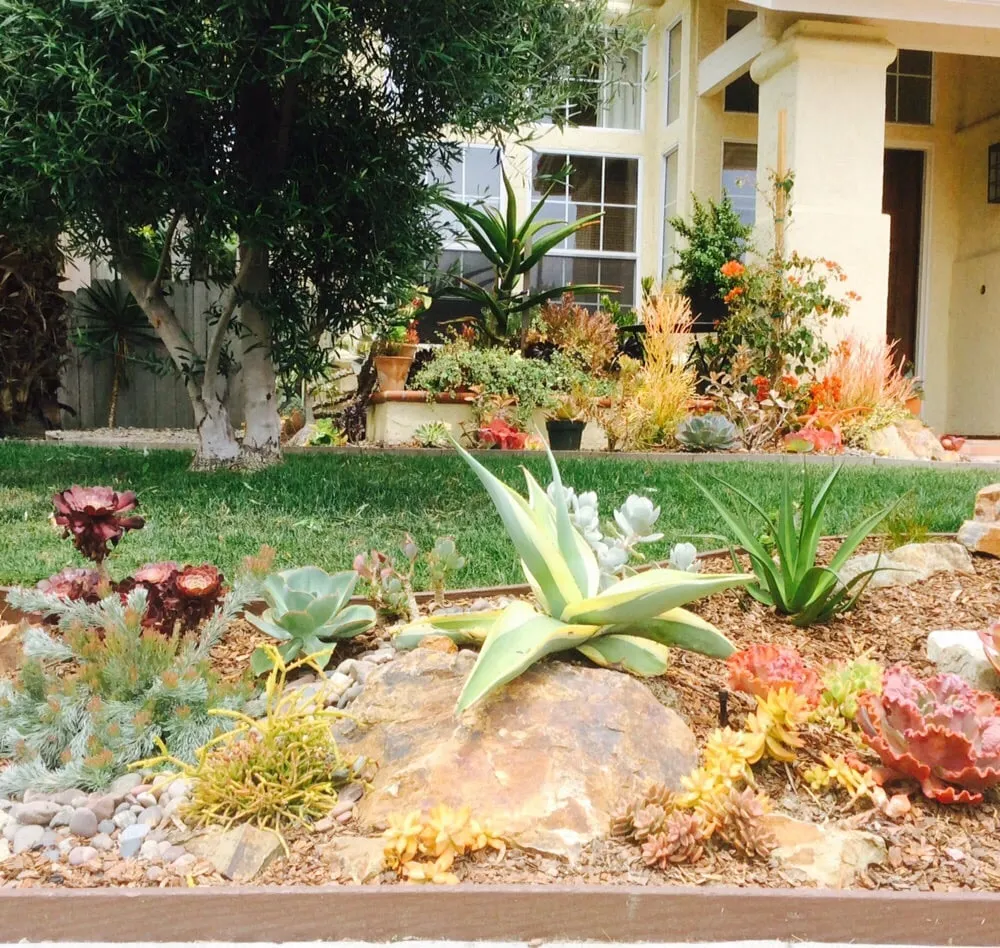 Custom landscape installation experts serving Vista, CA - CW Design & Landscape