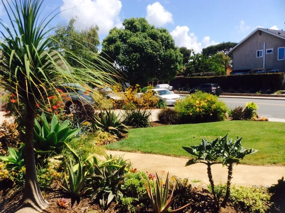 Custom landscape installation in Vista, CA by CW Design & Landscape